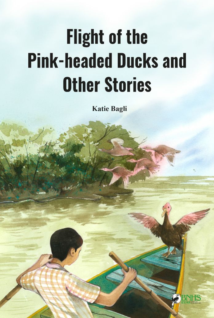 Pink-headed Duck img