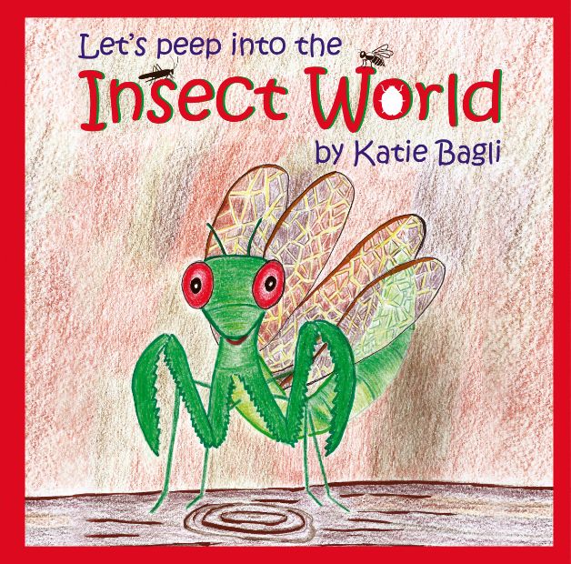 Insect World Front Back 1