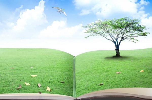 eco friendly books